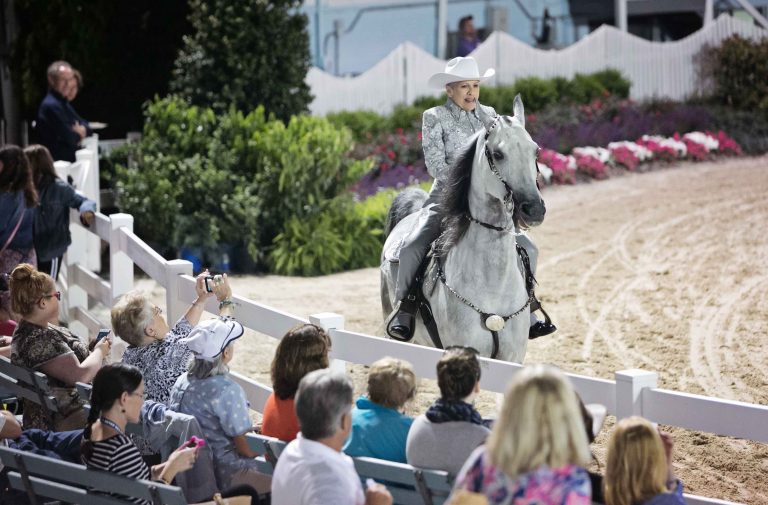 Purchase Tickets 2024 Devon Horse Show & Country Fair Tickets